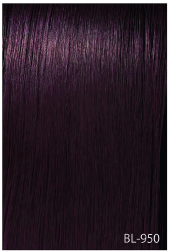 #D/Purple