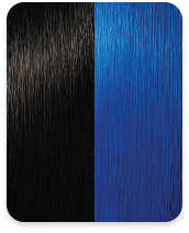 #1/Blue